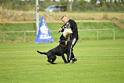 Xioux vom Lindelbrunn