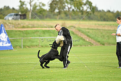 Xioux vom Lindelbrunn