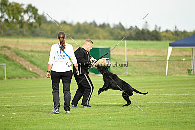 Xioux vom Lindelbrunn