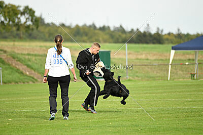 Xioux vom Lindelbrunn