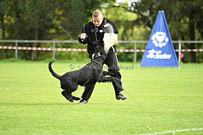 Xioux vom Lindelbrunn
