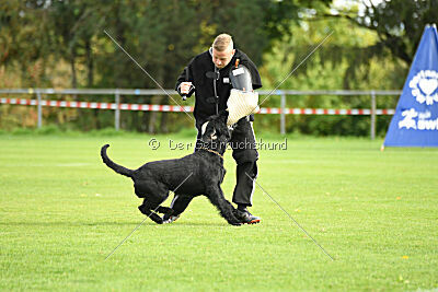 Xioux vom Lindelbrunn