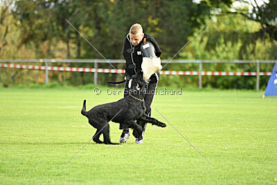 Xioux vom Lindelbrunn