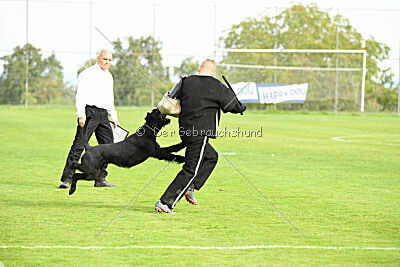 Xioux vom Lindelbrunn