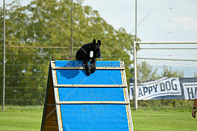 Xioux vom Lindelbrunn