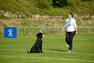 Xioux vom Lindelbrunn