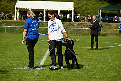 Xioux vom Lindelbrunn