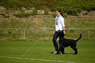 Xioux vom Lindelbrunn