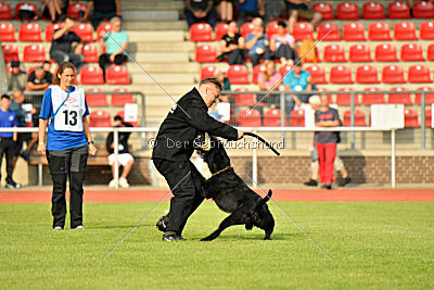 Xioux vom Lindelbrunn