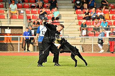 Xioux vom Lindelbrunn