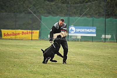 Xioux vom Lindelbrunn