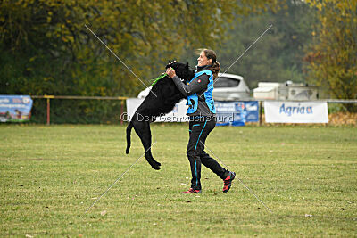 Xioux vom Lindelbrunn