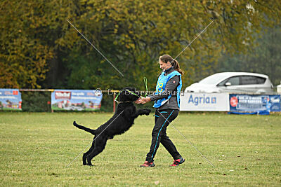 Xioux vom Lindelbrunn