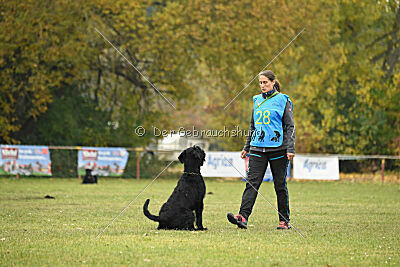 Xioux vom Lindelbrunn