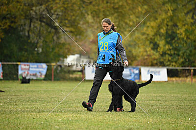 Xioux vom Lindelbrunn