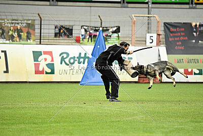 Xmolly vom Wolfsdreieck