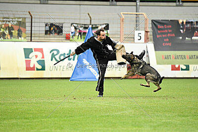 Xmolly vom Wolfsdreieck