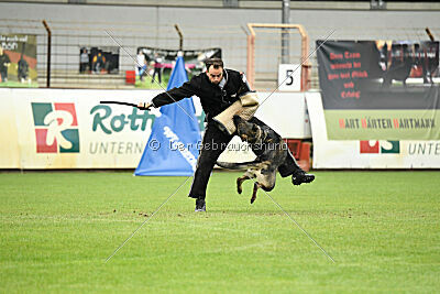 Xmolly vom Wolfsdreieck