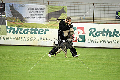 Xmolly vom Wolfsdreieck