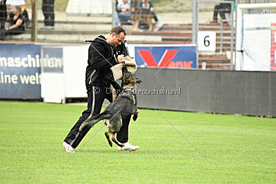 Xmolly vom Wolfsdreieck