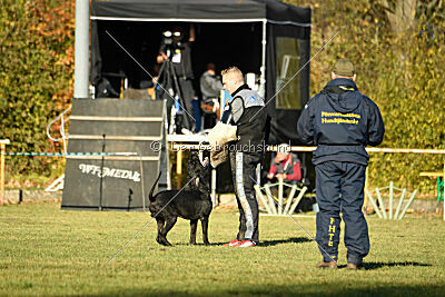 Xoskar vom Reußer Land