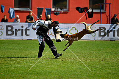 Xtreme vom Further Moor