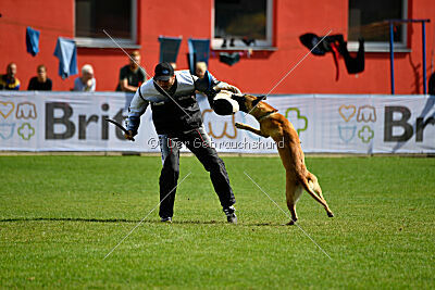 Xtreme vom Further Moor