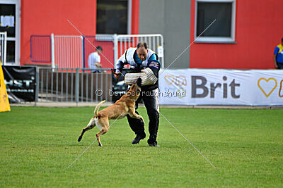 Xtreme vom Further Moor