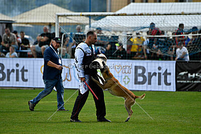 Xtreme vom Further Moor