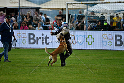 Xtreme vom Further Moor