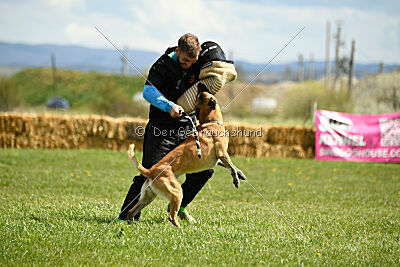 Xtreme vom Further Moor