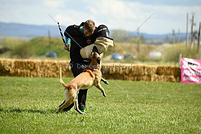 Xtreme vom Further Moor