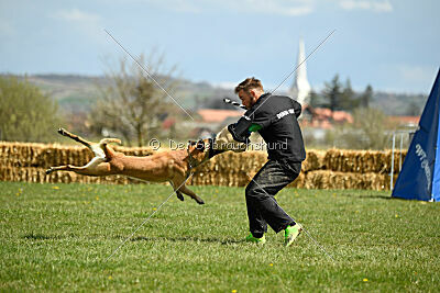 Xtreme vom Further Moor