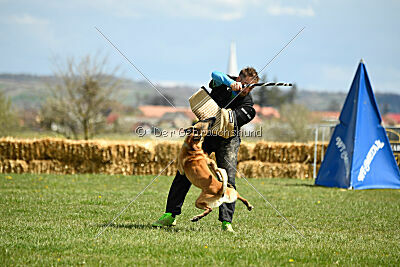 Xtreme vom Further Moor