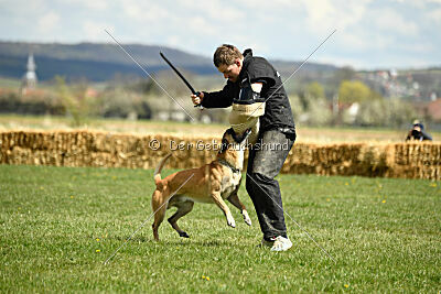 Xtreme vom Further Moor