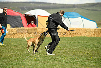 Xtreme vom Further Moor