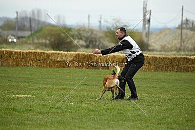 Xtreme vom Further Moor