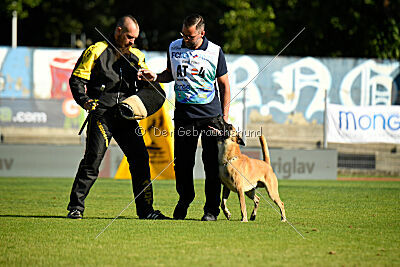 Xtreme vom Further Moor