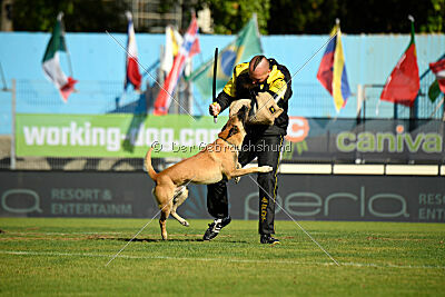 Xtreme vom Further Moor