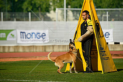 Xtreme vom Further Moor