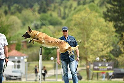 Xtreme vom Further Moor