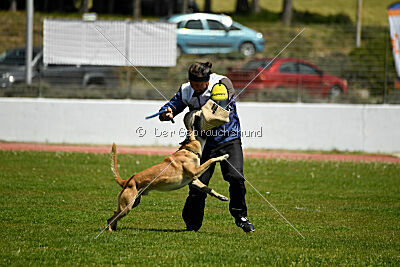 Xtreme vom Further Moor