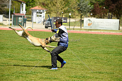 Xtreme vom Further Moor