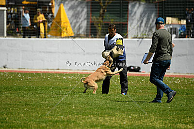 Xtreme vom Further Moor