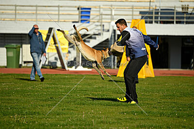 Xtreme vom Further Moor