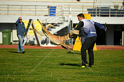 Xtreme vom Further Moor