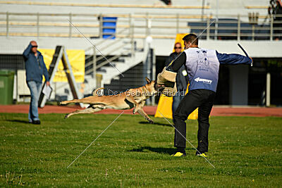 Xtreme vom Further Moor