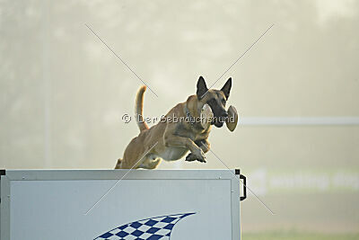 Xtreme vom Further Moor