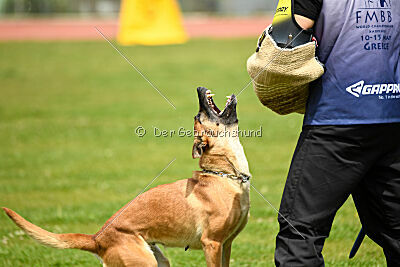 Xyoda vom Further Moor