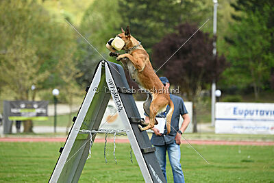 Xyoda vom Further Moor